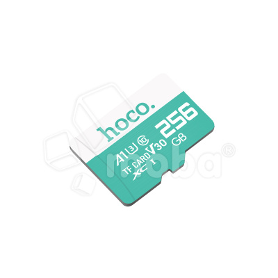 MSD-256GB-CLS10-HCO-U3-V30-A2
