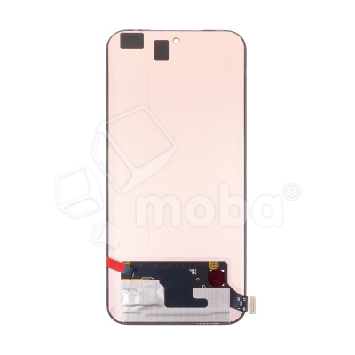 LCD-INX-HOT-60-PR-PLS-CP-B-OR_1