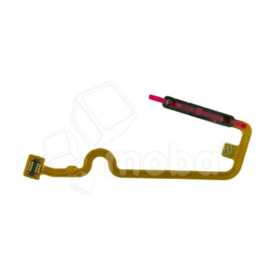 FPC-INX-NT-12-PR-FP-GY_1